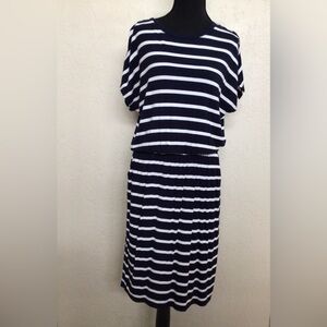 Banana Republic Navy and White Striped Top